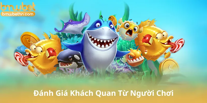 Đánh Giá Khách Quan Từ Người Chơi Thực Tế