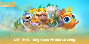 Giới Thiệu Tổng Quan Về Bắn Cá Xèng