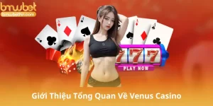 Giới Thiệu Tổng Quan Về Venus Casino
