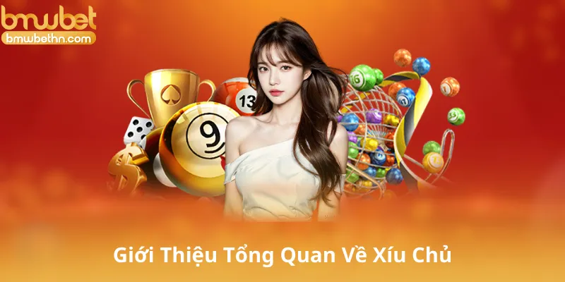 Giới Thiệu Tổng Quan Về Xíu Chủ
