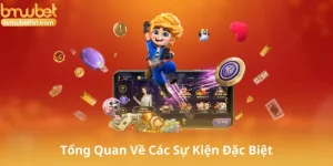 Giới Thiệu Tổng Quan Về Các Sự Kiện Đặc Biệt