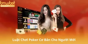 Luật Chơi Poker Cơ Bản Cho Người Mới