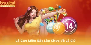 Lô Gan Miền Bắc Lâu Chưa Về Là Gì?